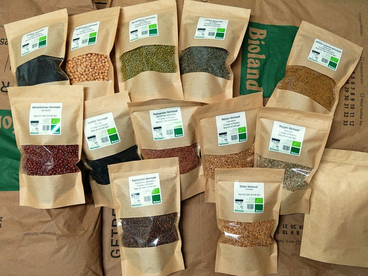 Bio Kichererbsen Sprossen Saatgut – Bild 4