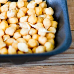 Bio Kichererbsen Sprossen Saatgut