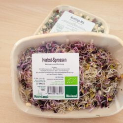 Frische Bio Sprossen gemischte Palette